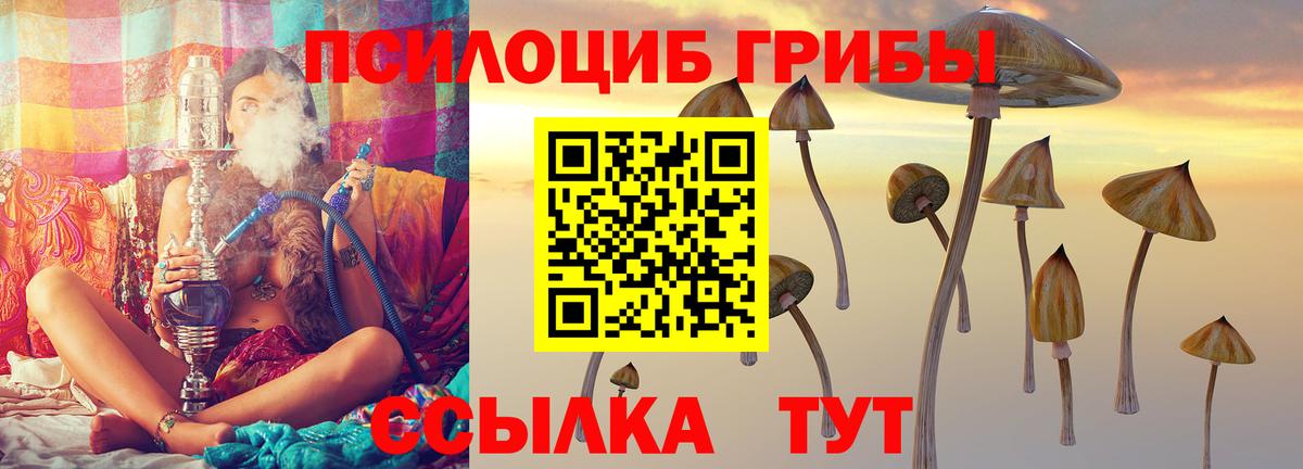 Городец  Псилоцибиновые грибы MAGIC MUSHROOMS  Вход с VPN 